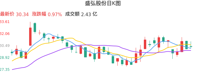 整体分析-日K图：盛弘股份股票整体分析报告