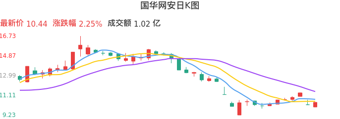 整体分析-日K图：国华网安股票整体分析报告