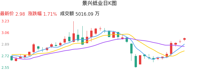 整体分析-日K图：景兴纸业股票整体分析报告