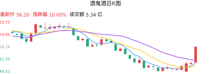 整体分析-日K图：酒鬼酒股票整体分析报告