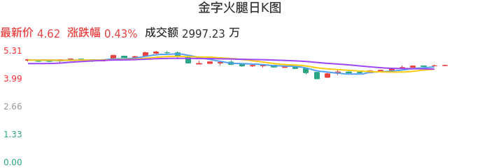 整体分析-日K图：金字火腿股票整体分析报告