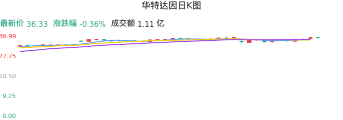 整体分析-日K图：华特达因股票整体分析报告