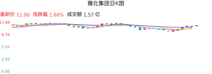 整体分析-日K图:雅化集团股票整体分析报告