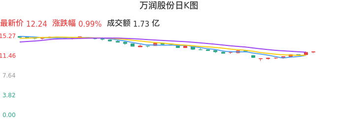 整体分析-日K图：万润股份股票整体分析报告