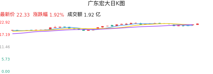 整体分析-日K图:广东宏大股票整体分析报告