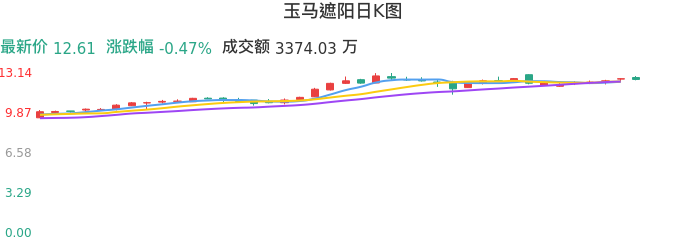 整体分析-日K图：玉马遮阳股票整体分析报告