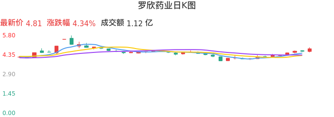 整体分析-日K图：罗欣药业股票整体分析报告