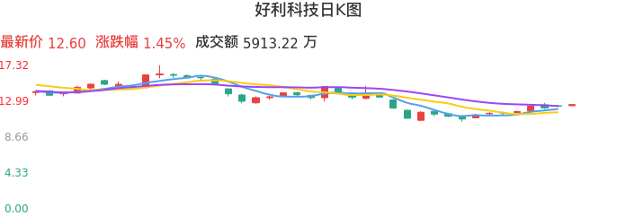 整体分析-日K图：好利科技股票整体分析报告