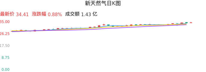 整体分析-日K图：新天然气股票整体分析报告