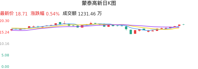 整体分析-日K图：蒙泰高新股票整体分析报告