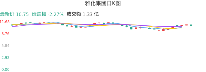 整体分析-日K图：雅化集团股票整体分析报告