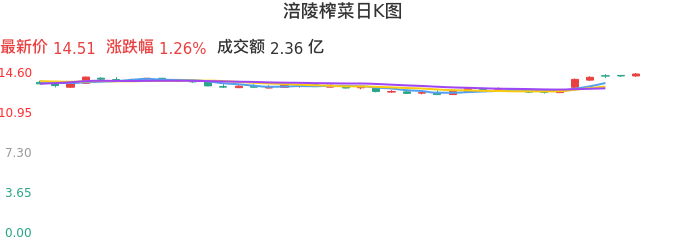 整体分析-日K图：涪陵榨菜股票整体分析报告