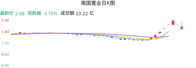 整体分析-日K图:南国置业股票整体分析报告