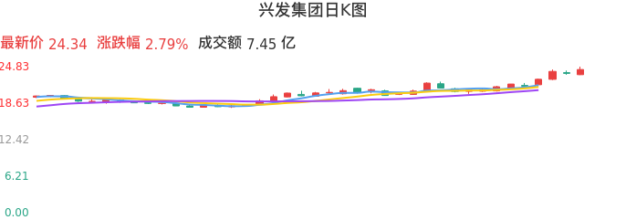整体分析-日K图：兴发集团股票整体分析报告