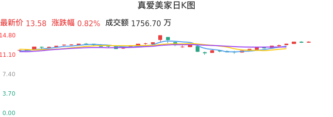 整体分析-日K图:真爱美家股票整体分析报告