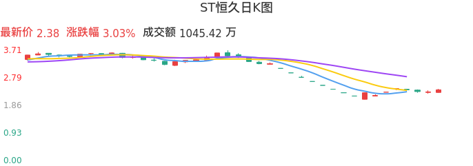 整体分析-日K图：ST恒久股票整体分析报告