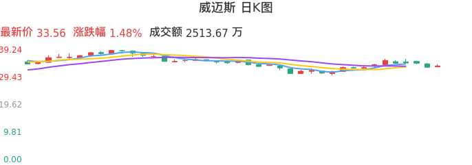 整体分析-日K图：威迈斯股票整体分析报告