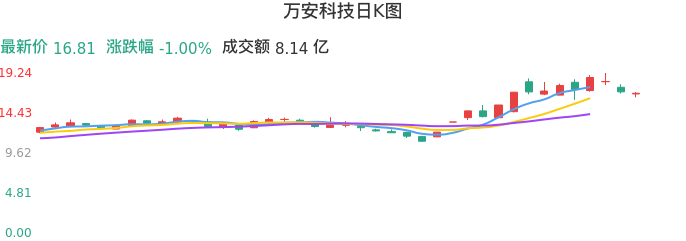 整体分析-日K图：万安科技股票整体分析报告
