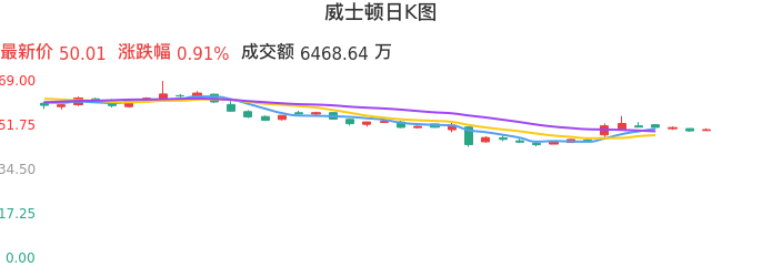 整体分析-日K图：威士顿股票整体分析报告