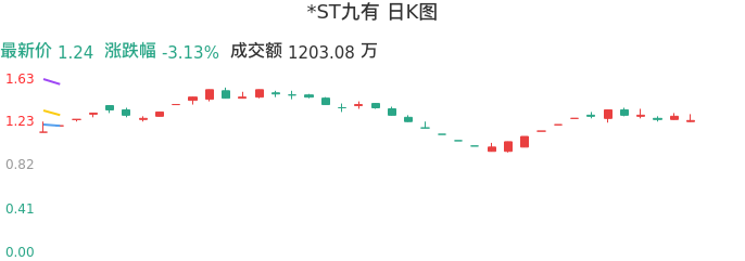 整体分析-日K图：*ST九有股票整体分析报告