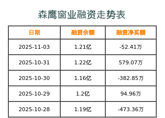 森鹰窗业融资表
