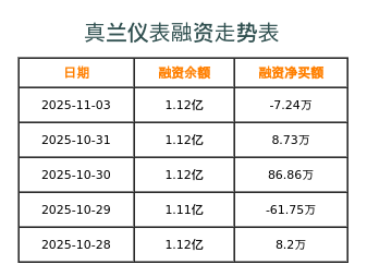 真兰仪表融资表