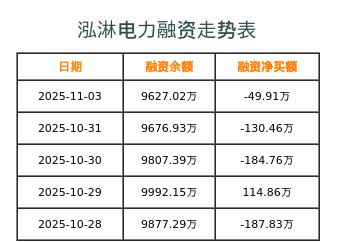 泓淋电力融资表