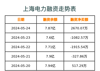 上海电力融资表
