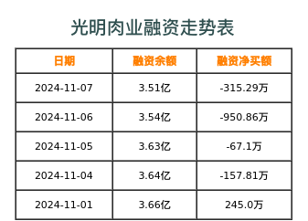 上海梅林融资表