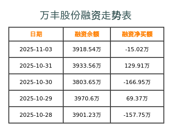 万丰股份融资表