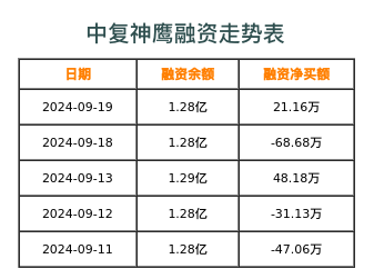 中复神鹰融资表