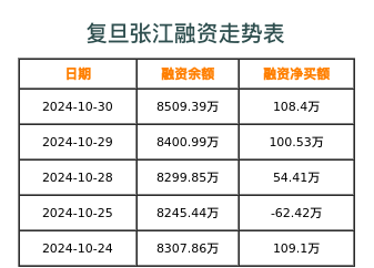 复旦张江融资表