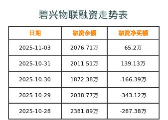 碧兴物联融资表